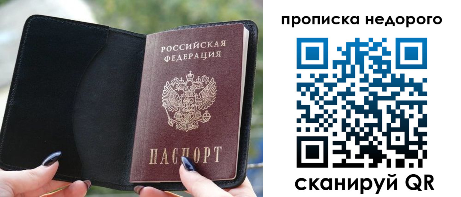 временная регистрация поиск в Мурманской области
